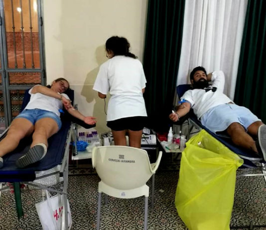 diariodeaficionesunidas exito en el maraton de donaciones de sangre de la peña betico de osuna