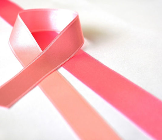 diariodeaficionesunidas peña de la cultural leonesa evento contra el cancer de mama